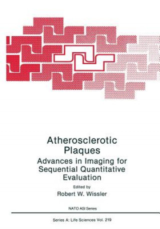 Könyv Atherosclerotic Plaques Robert W. Wissler