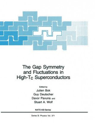 Knjiga Gap Symmetry and Fluctuations in High-Tc Superconductors Julien Bok