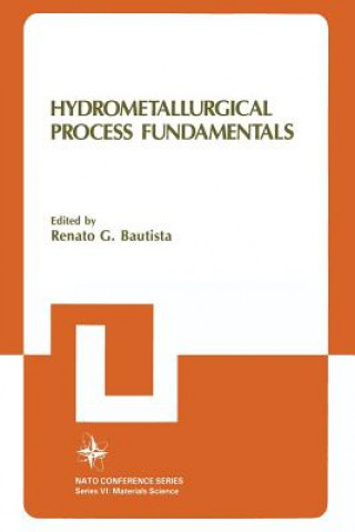 Книга Hydrometallurgical Process Fundamentals Renato G. Bautista