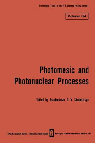 Könyv Photomesic and Photonuclear Processes D. V. Skobel tsyn