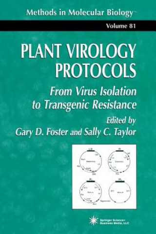 Książka Plant Virology Protocols Gary D. Foster