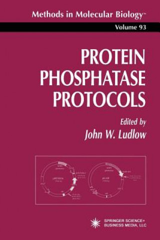 Könyv Protein Phosphatase Protocols John W. Ludlow
