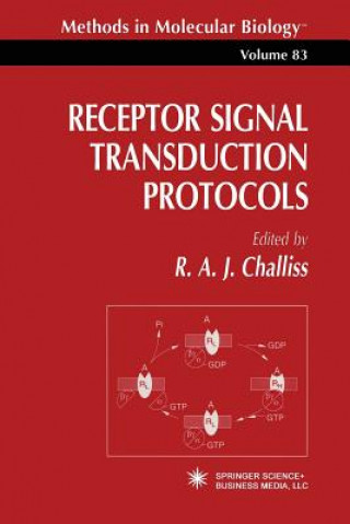 Kniha Receptor Signal Transduction Protocols R. A. J. Challiss