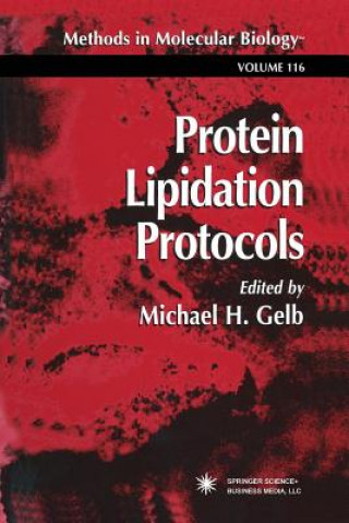 Kniha Protein Lipidation Protocols Michael H. Gelb