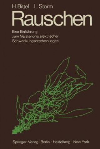 Knjiga Rauschen Heinz Bittel