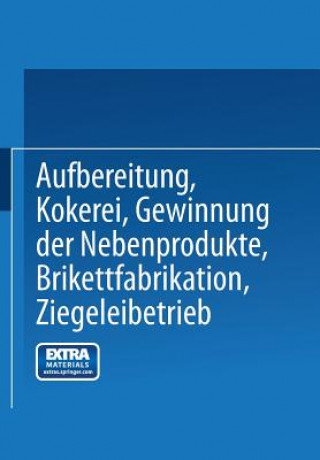 Kniha Aufbereitung, Kokerei, Gewinnung Der Nebenprodukte, Brikettfabrikation, Ziegeleibetrieb 