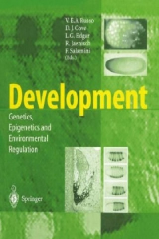 Kniha Development V.E.A. Russo