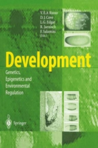 Carte Development V.E.A. Russo