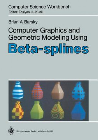 Kniha Computer Graphics and Geometric Modeling Using Beta-splines, 1 Brian A. Barsky