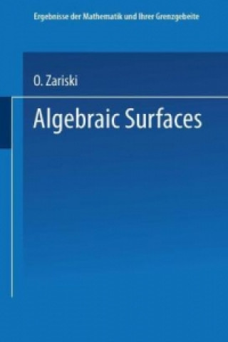 Könyv Algebraic Surfaces O. Zariski