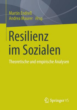 Kniha Resilienz im Sozialen Martin Endreß