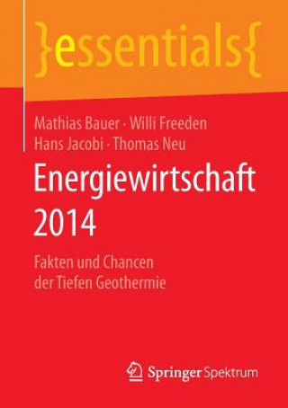Kniha Energiewirtschaft 2014 Mathias Bauer