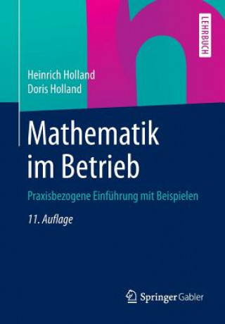 Kniha Mathematik Im Betrieb Heinrich Holland