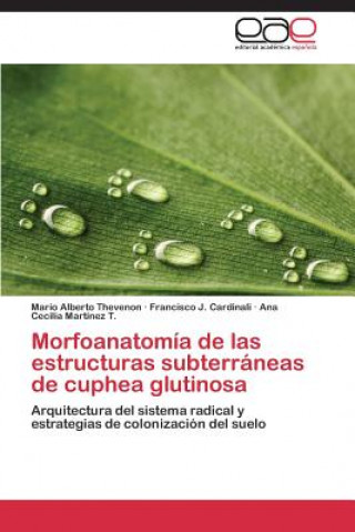 Kniha Morfoanatomia de las estructuras subterraneas de cuphea glutinosa Mario Alberto Thevenon