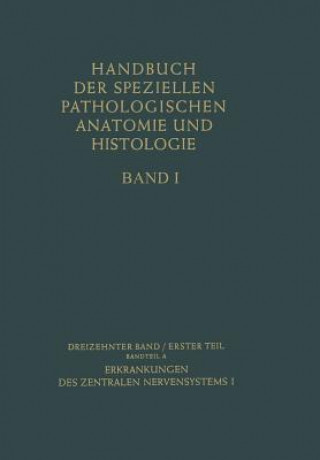 Kniha Erkrankungen des zentralen Nervensystems I, 2 G. Bodechtel