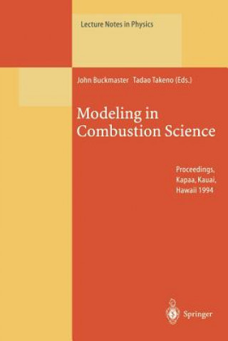 Kniha Modeling in Combustion Science John Buckmaster