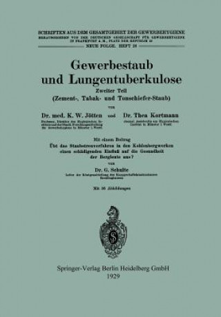 Книга Gewerbestaub Und Lungentuberkulose Karl Wilhelm Jötten