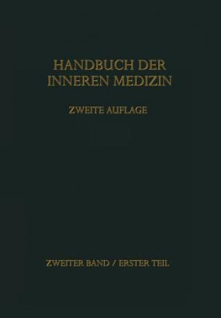 Kniha Handbuch der inneren Medizin Gustav von Bergmann