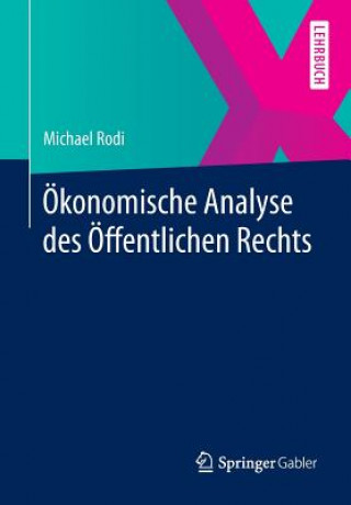 Kniha OEkonomische Analyse des OEffentlichen Rechts Michael Rodi