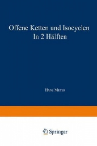 Kniha Synthese der Kohlenstoffverbindungen Dr. Hans Meyer