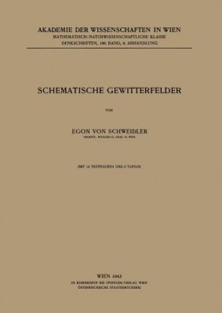 Buch Schematische Gewitterfelder Egon von Schweidler