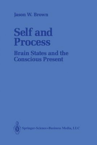 Knjiga Self and Process Jason W. Brown
