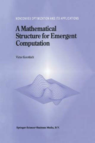 Kniha A Mathematical Structure for Emergent Computation, 1 Victor Korotkikh