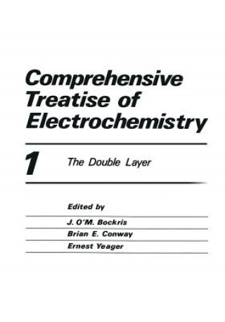 Książka Comprehensive Treatise of Electrochemistry Peter Horsman