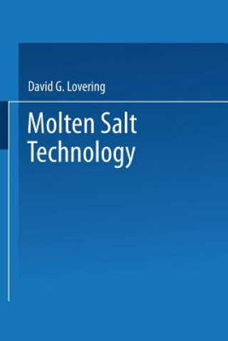 Kniha Molten Salt Technology David G. Lovering