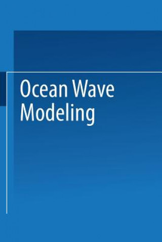 Kniha Ocean Wave Modeling he SWAMP Group