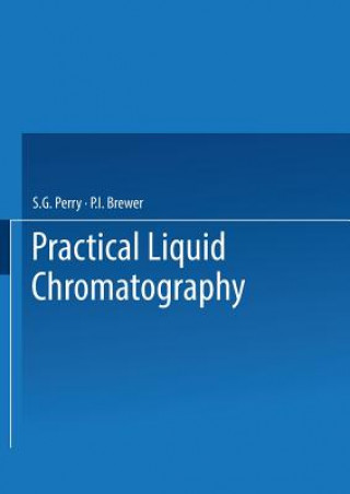 Könyv Practical Liquid Chromatography S. G. Perry