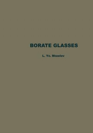 Kniha Borate Glasses L. Ya Mazelev
