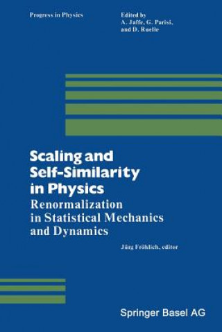 Livre Scaling and Self-Similarity in Physics RÖHLICH