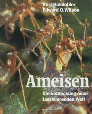 Kniha Ameisen Bert Hölldobler