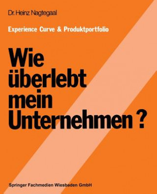 Kniha Experience Curve & Produktportfolio Wie UEberlebt Mein Unternehmen? Heinz Nagtegaal