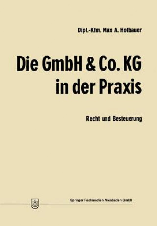 Könyv Gmbh & Co. Kg in Der Praxis Max Andreas Hofbauer