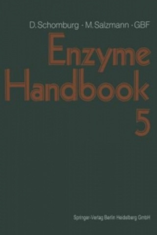Könyv Enzyme Handbook, 2 Dietmar Schomburg
