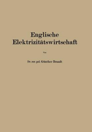 Kniha Englische Elektrizitatswirtschaft Günther Brandt