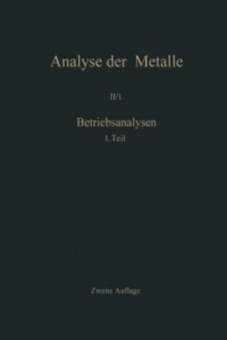 Kniha Betriebsanalysen 