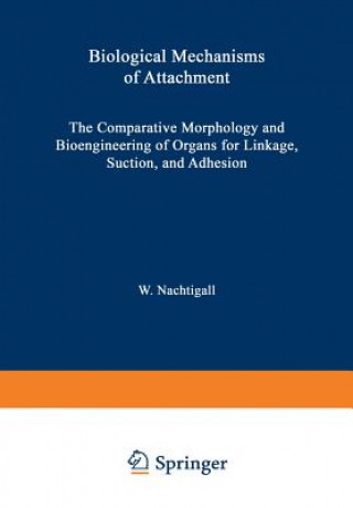 Könyv Biological Mechanisms of Attachment, 1 W. Nachtigall