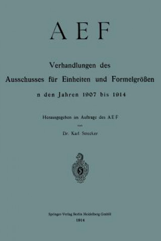 Könyv Aef Verhandlungen Des Ausschusses Fur Einheiten Und Formelgroessen in Den Jahren 1907 Bis 1914 Karl Strecker
