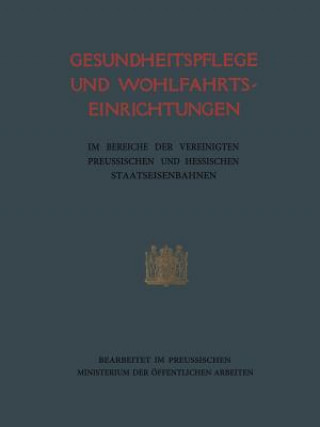 Kniha Gesundheitspflege Und Wohlfahrtseinrichtungen reußischen Ministerium der öffentlichen Arbeiten