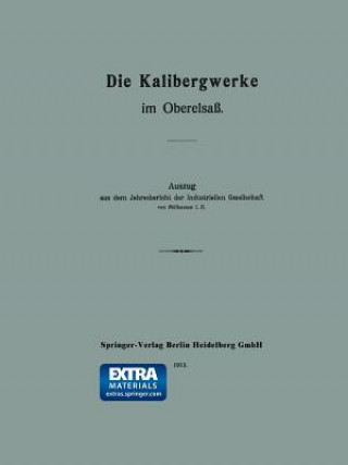 Knjiga Die Kalibergwerke Im Oberelsass E. Mülhausen