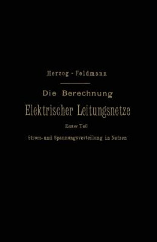Könyv Berechnung Elektrischer Leitungsnetze in Theorie Und Praxis Josef Herzog