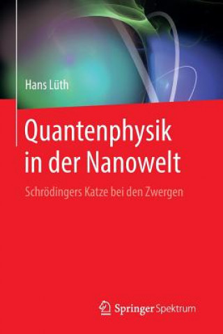 Könyv Quantenphysik in Der Nanowelt Hans Lüth