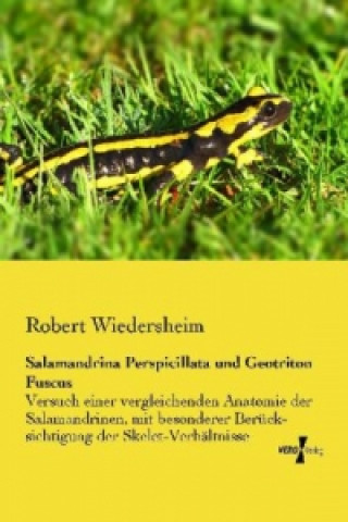 Livre Salamandrina Perspicillata und Geotriton Fuscus Robert Wiedersheim