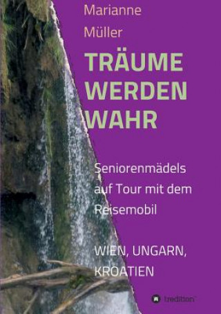 Libro Traume Werden Wahr Marianne Müller