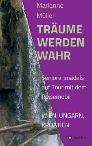 Книга Traume Werden Wahr Marianne Müller