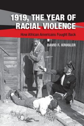 Kniha 1919, The Year of Racial Violence David F. Krugler