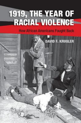 Kniha 1919, The Year of Racial Violence David F. Krugler